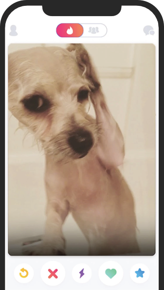 dog in a iphone